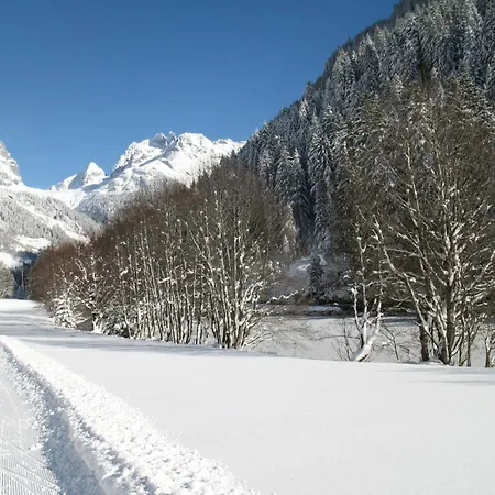 Gemuetliches Rosa An Der Langlaufloipe Gadmen