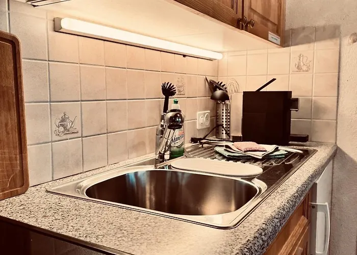 Gemuetliches Rosa An Der Langlaufloipe * Gadmen