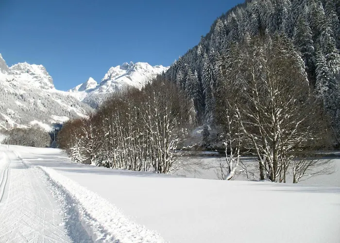 Gemuetliches Rosa An Der Langlaufloipe Gadmen