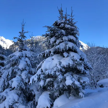 公寓 Gemuetliches Rosa An Der Langlaufloipe Gadmen