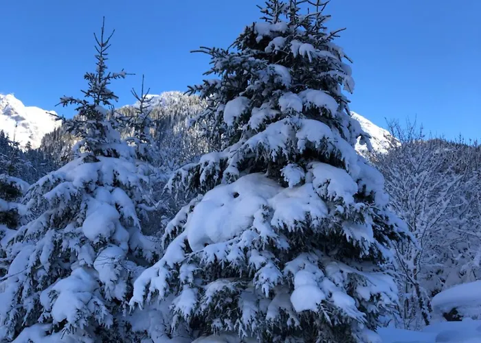 公寓 Gemuetliches Rosa An Der Langlaufloipe Gadmen